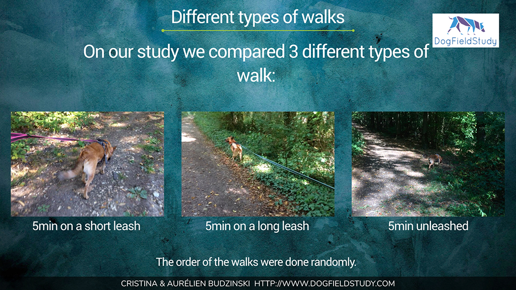 Different types of walk