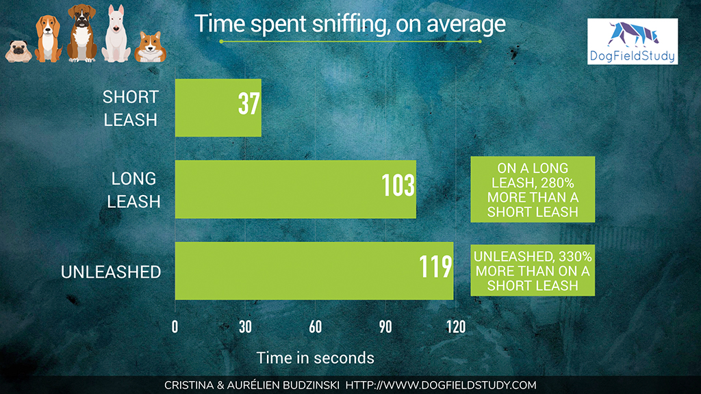 Average of Time Spent Sniffing
